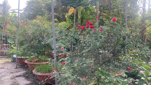 Men vi sinh bản địa và đóng góp thiết thực cho mục tiêu giảm phát thải